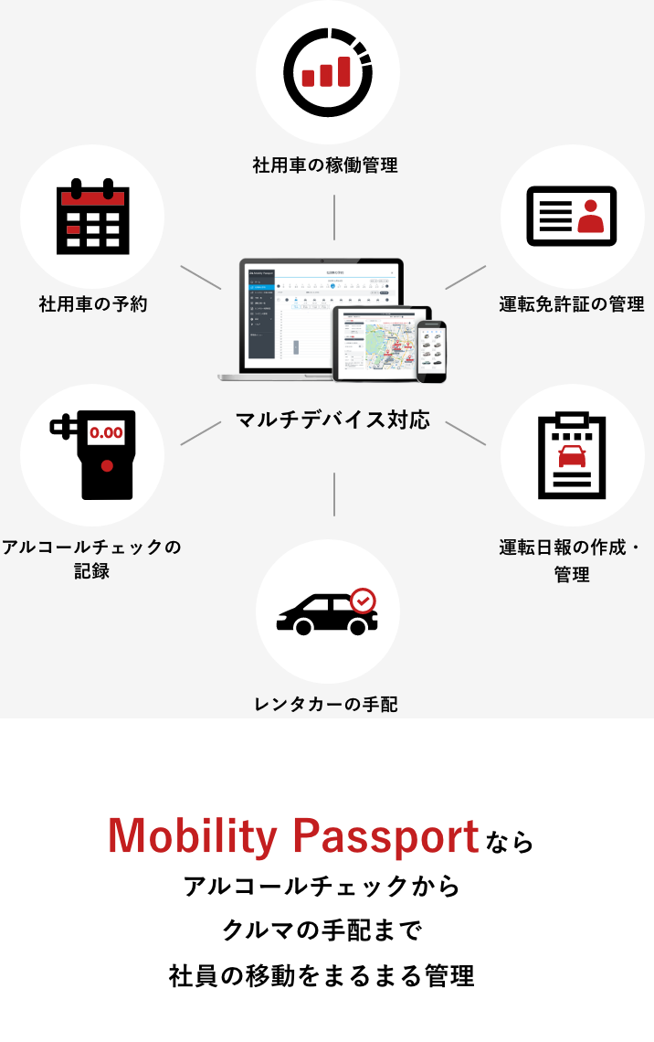 Mobility Passport